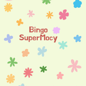 bingo cover